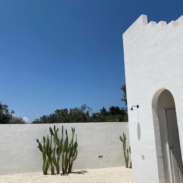 Natural lime mortar applied to a building exterior.