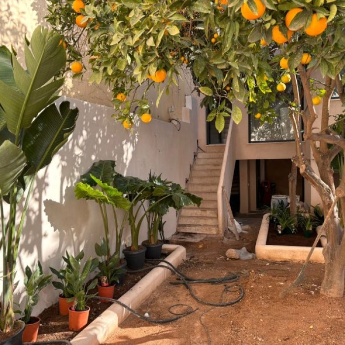 Landscaped backyard garden surrounded by continuous earthy Chukum-coated perimeter walls.