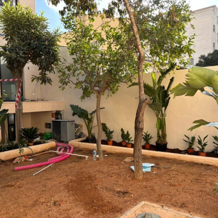 Landscaped backyard garden surrounded by continuous earthy Chukum-coated perimeter walls.